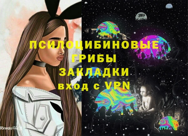 не бодяженный Алексин