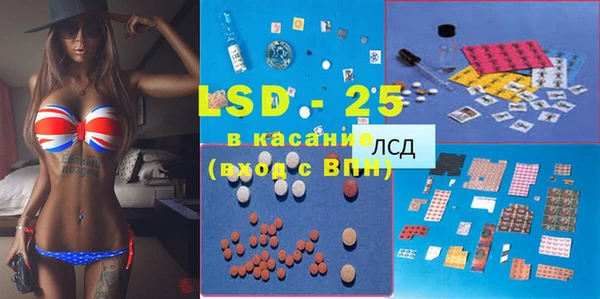 шишки Алзамай