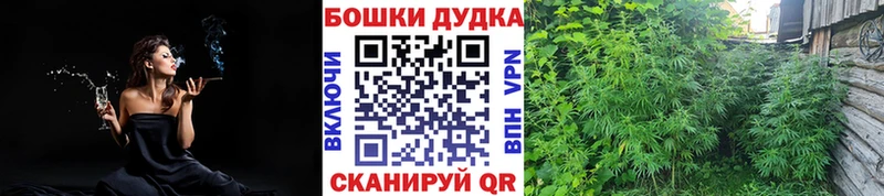 МАРИХУАНА гибрид  закладки  Пущино 